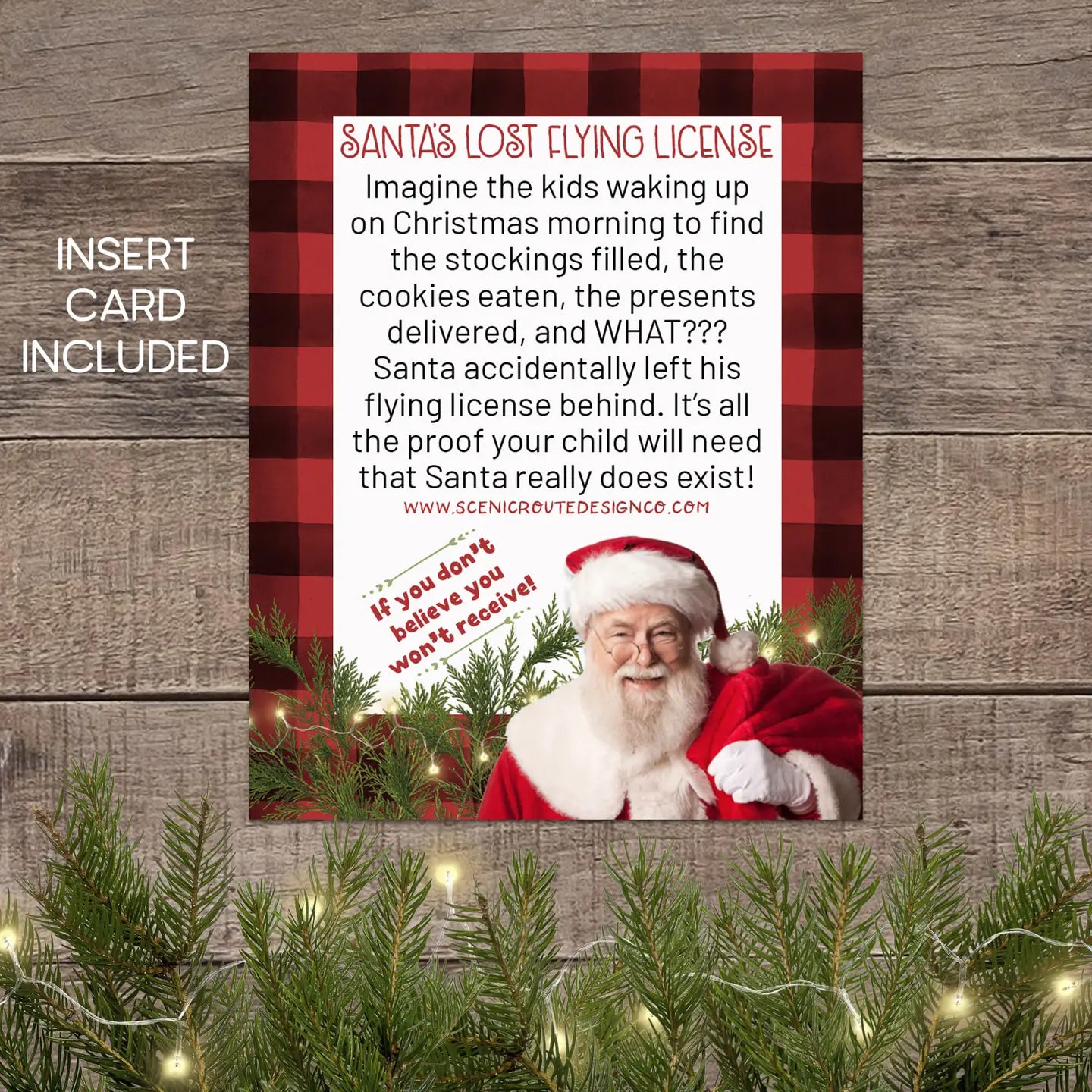 Santa Flying License